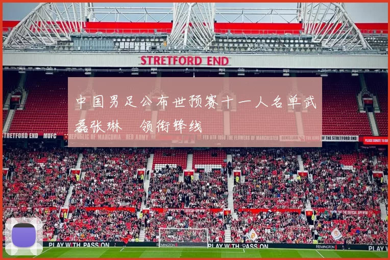 中国男足公布世预赛十一人名单武磊张琳芃领衔锋线