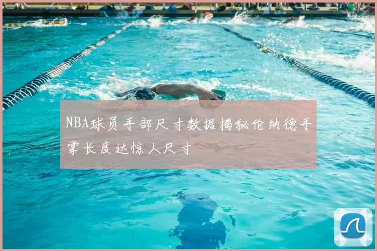 NBA球员手部尺寸数据揭秘伦纳德手掌长度达惊人尺寸