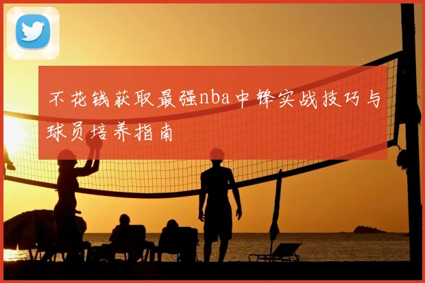 不花钱获取最强nba中锋实战技巧与球员培养指南